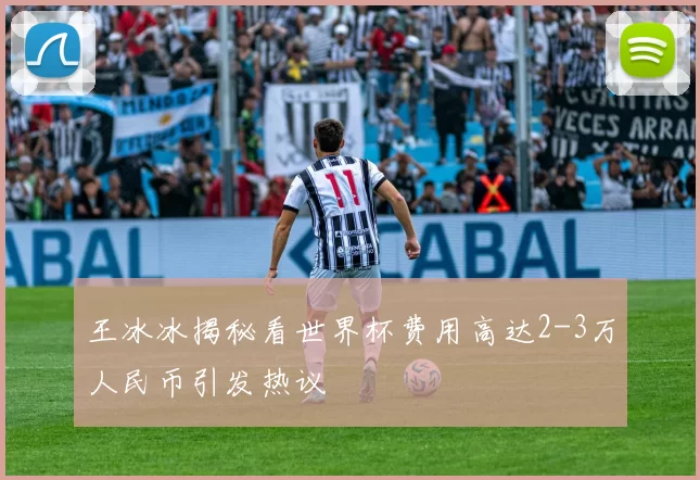 王冰冰揭秘看世界杯费用高达2-3万人民币引发热议