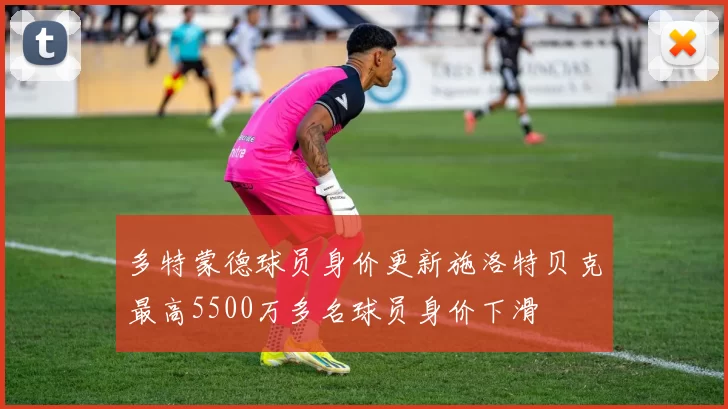 多特蒙德球员身价更新施洛特贝克最高5500万多名球员身价下滑